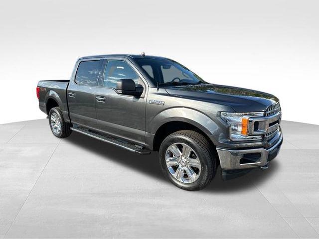 2019 Ford F-150 Vehicle Photo in MEDINA, OH 44256-9631