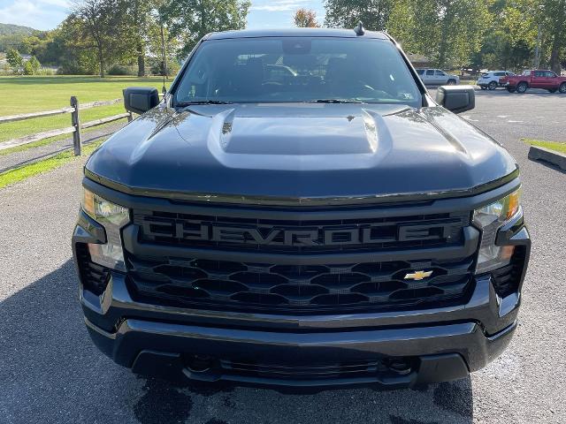 2022 Chevrolet Silverado 1500 Vehicle Photo in THOMPSONTOWN, PA 17094-9014