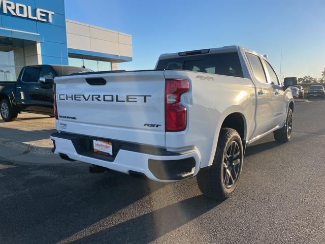 2025 Chevrolet Silverado 1500 Vehicle Photo in GLENWOOD, MN 56334-1123