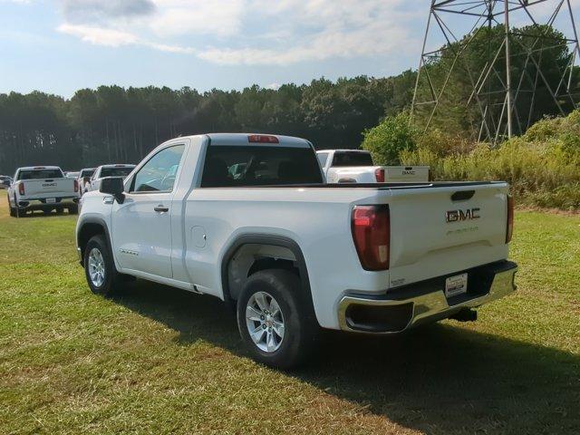 2024 GMC Sierra 1500 Vehicle Photo in ALBERTVILLE, AL 35950-0246