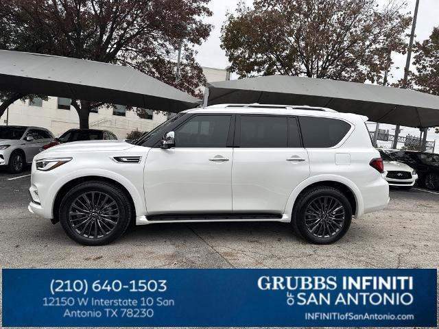 2024 INFINITI QX80 Vehicle Photo in San Antonio, TX 78230