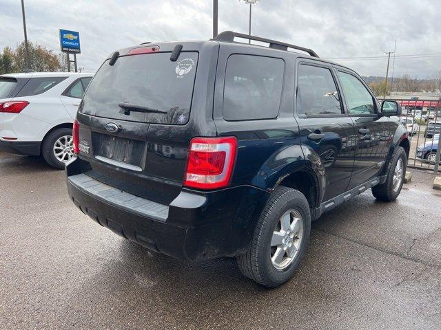 2008 Ford Escape Vehicle Photo in MILFORD, OH 45150-1684