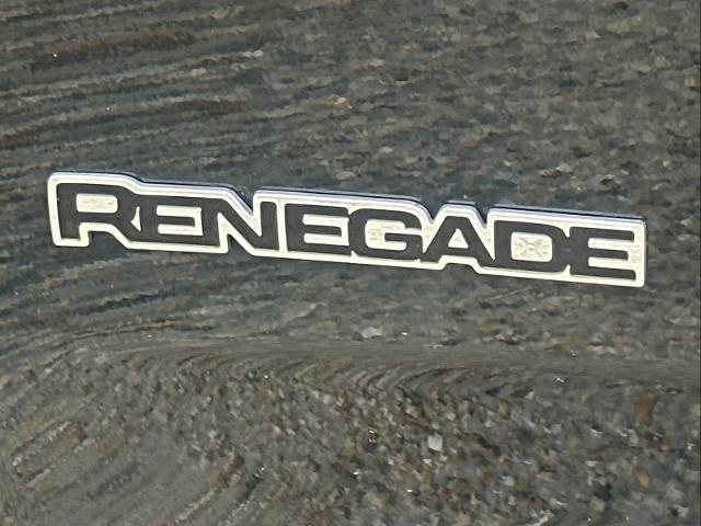 2023 Jeep Renegade Vehicle Photo in DUNN, NC 28334-8900