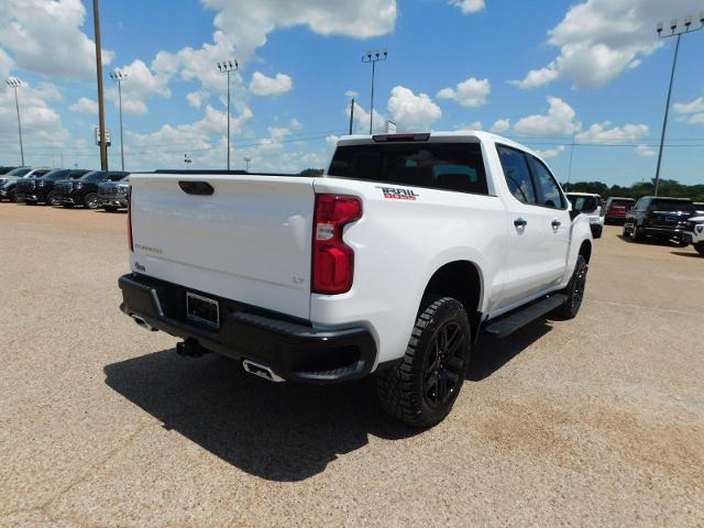 2024 Chevrolet Silverado 1500 Vehicle Photo in GATESVILLE, TX 76528-2745