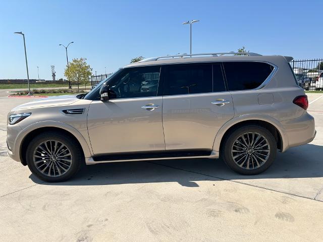 2024 INFINITI QX80 Vehicle Photo in Grapevine, TX 76051