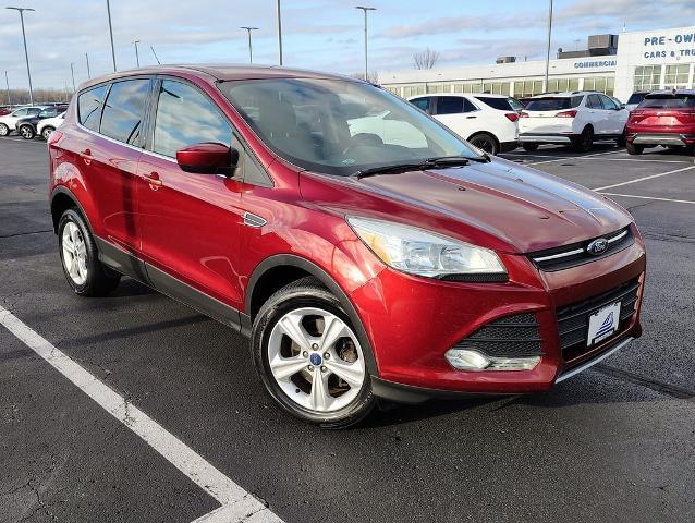 2016 Ford Escape Vehicle Photo in GREEN BAY, WI 54304-5303