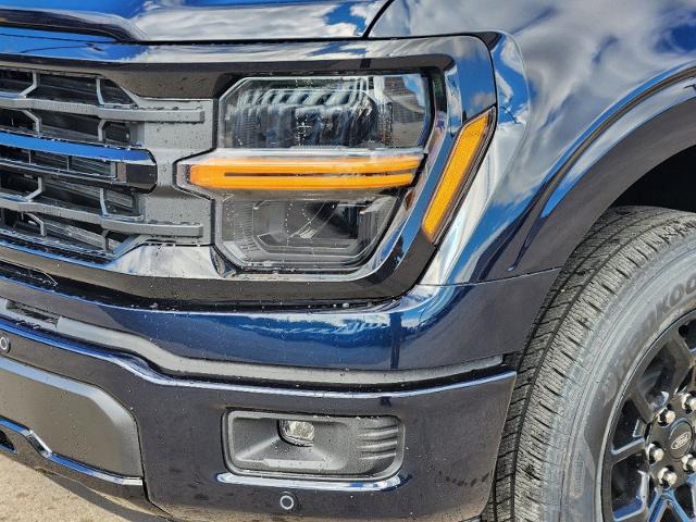 2024 Ford F-150 Vehicle Photo in Pilot Point, TX 76258