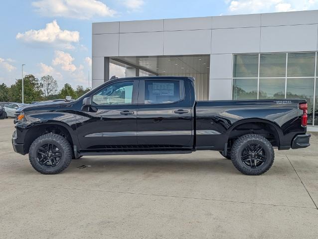 2024 Chevrolet Silverado 1500 Vehicle Photo in POMEROY, OH 45769-1023