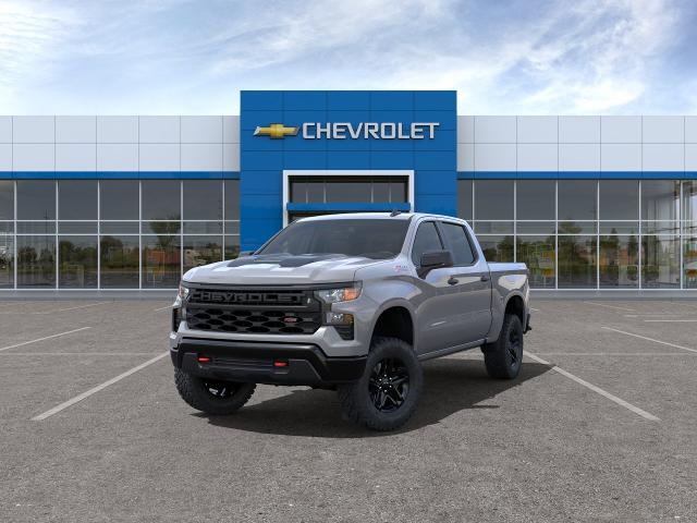 2024 Chevrolet Silverado 1500 Vehicle Photo in AMARILLO, TX 79106-1809