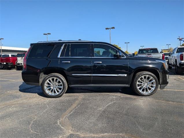 2019 Cadillac Escalade Vehicle Photo in AURORA, CO 80012-4011