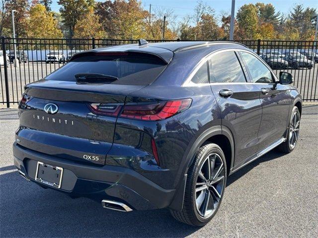 2024 INFINITI QX80 Vehicle Photo in Willow Grove, PA 19090