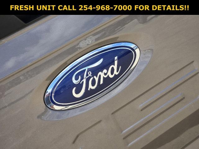 2023 Ford F-150 Vehicle Photo in STEPHENVILLE, TX 76401-3713