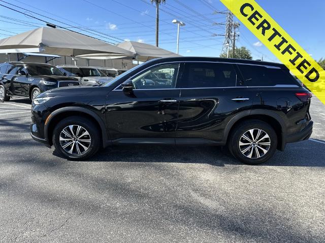 2024 INFINITI QX60 Vehicle Photo in San Antonio, TX 78230