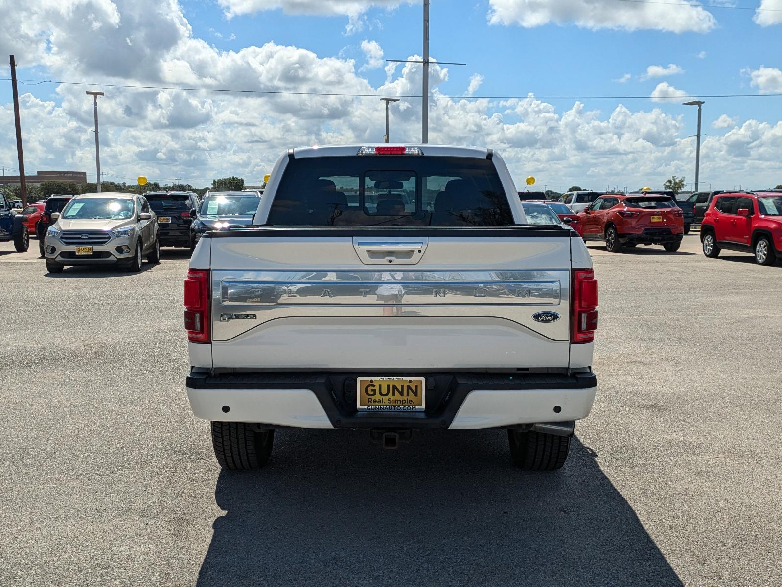 2015 Ford F-150 Vehicle Photo in Seguin, TX 78155