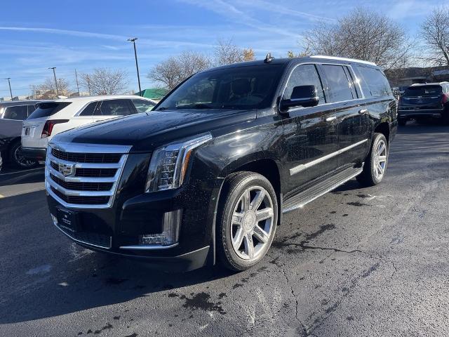 2016 Cadillac Escalade ESV Vehicle Photo in BEACHWOOD, OH 44122-4298