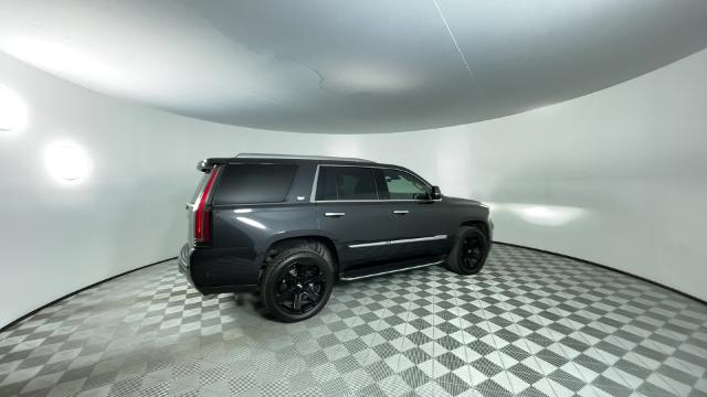 2019 Cadillac Escalade Vehicle Photo in GILBERT, AZ 85297-0402