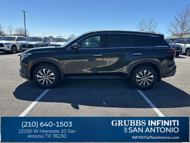 2024 INFINITI QX60 Vehicle Photo in San Antonio, TX 78230