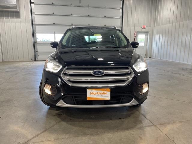 2019 Ford Escape Vehicle Photo in GLENWOOD, MN 56334-1123