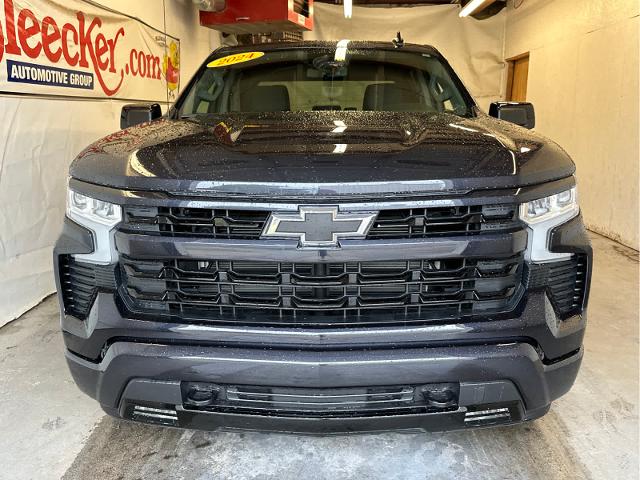 2024 Chevrolet Silverado 1500 Vehicle Photo in RED SPRINGS, NC 28377-1640