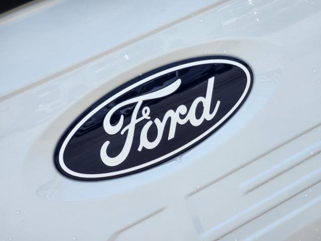 2024 Ford F-150 Vehicle Photo in Stephenville, TX 76401-3713