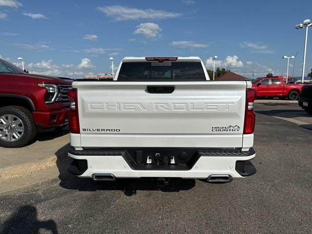 2025 Chevrolet Silverado 1500 Vehicle Photo in GLENWOOD, MN 56334-1123