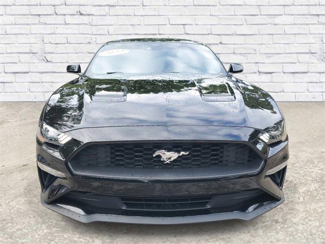 2022 Ford Mustang Vehicle Photo in SUNRISE, FL 33323-3202