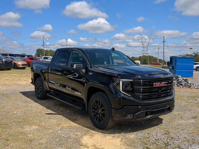 2025 GMC Sierra 1500 Vehicle Photo in ALBERTVILLE, AL 35950-0246