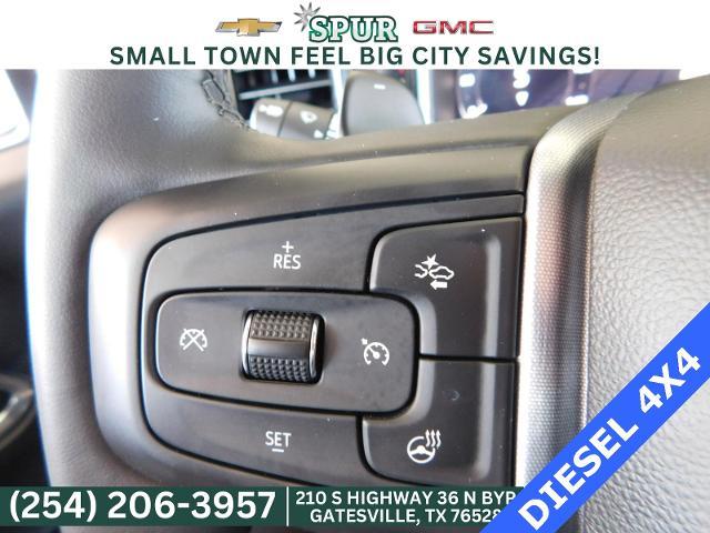 2024 GMC Sierra 1500 Vehicle Photo in GATESVILLE, TX 76528-2745