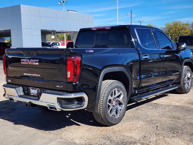 2025 GMC Sierra 1500 Vehicle Photo in PARIS, TX 75460-2116