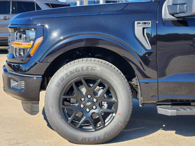 2024 Ford F-150 Vehicle Photo in Pilot Point, TX 76258