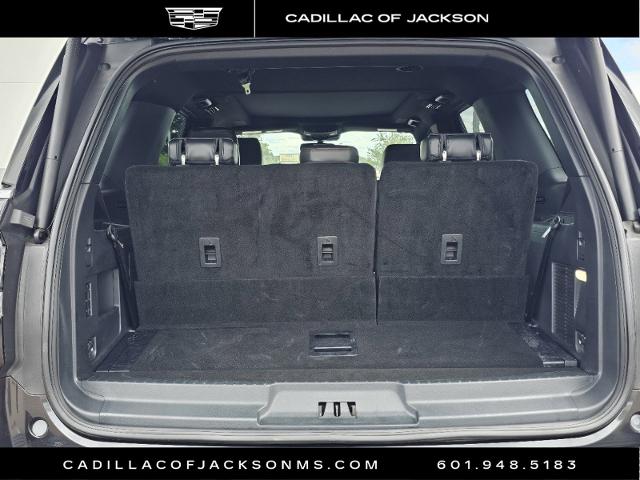 2024 Ford Expedition Vehicle Photo in RIDGELAND, MS 39157-4406