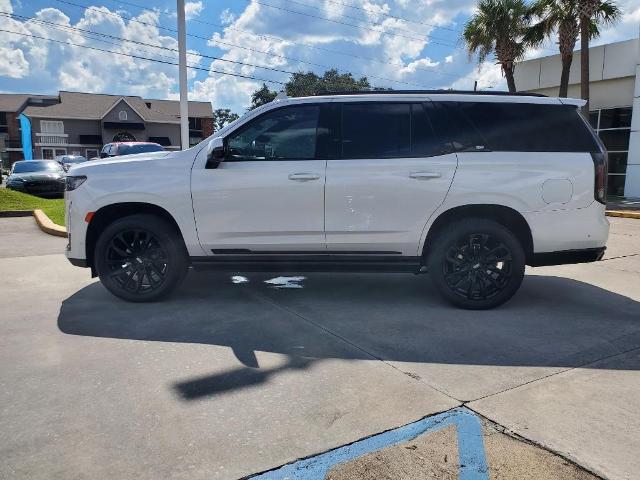 2022 Cadillac Escalade Vehicle Photo in LAFAYETTE, LA 70503-4541