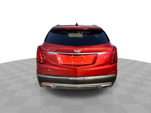 2024 Cadillac XT5 Vehicle Photo in WILLIAMSVILLE, NY 14221-2883