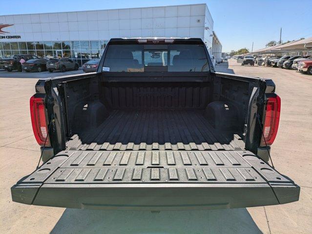 2023 GMC Sierra 1500 Vehicle Photo in SELMA, TX 78154-1459