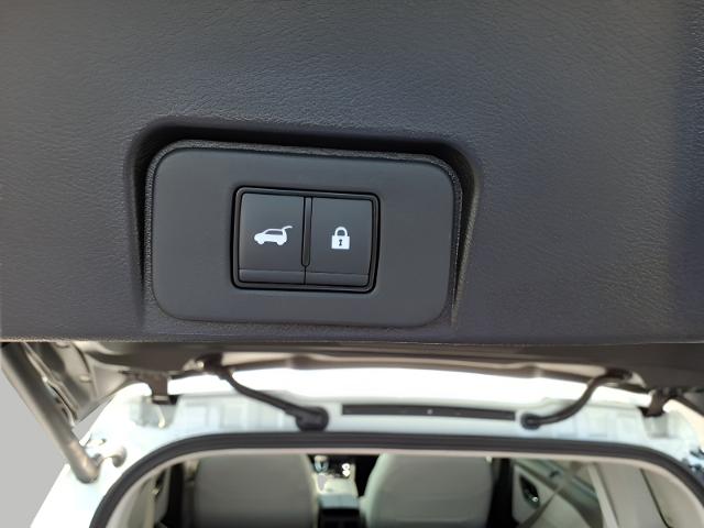 2025 Nissan Rogue Vehicle Photo in Oshkosh, WI 54904