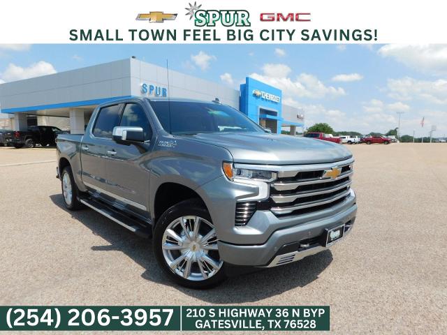 2024 Chevrolet Silverado 1500 Vehicle Photo in GATESVILLE, TX 76528-2745