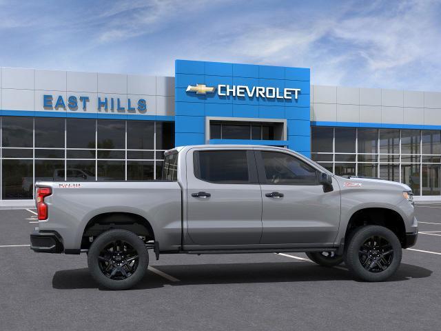 2025 Chevrolet Silverado 1500 Vehicle Photo in FREEPORT, NY 11520-3923