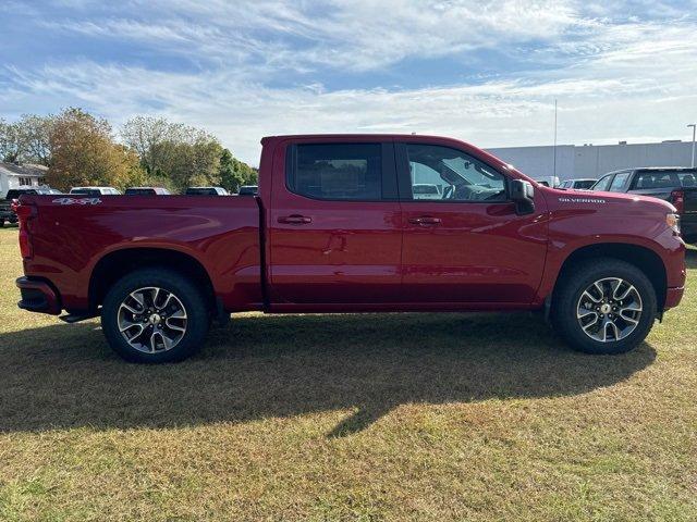 2025 Chevrolet Silverado 1500 Vehicle Photo in SAUK CITY, WI 53583-1301