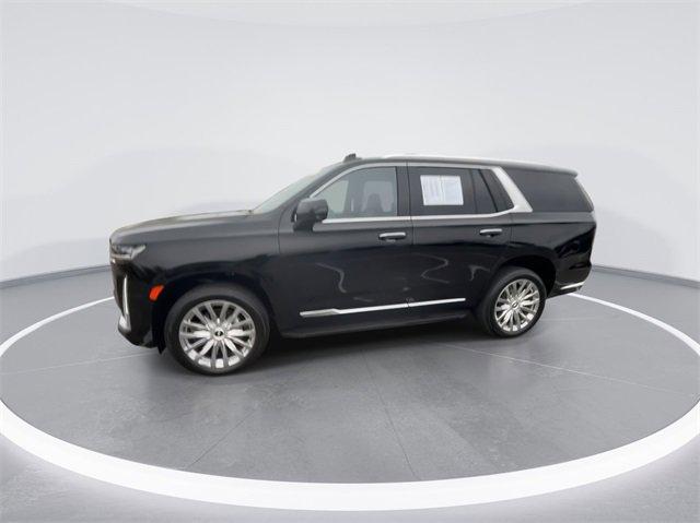 2024 Cadillac Escalade Vehicle Photo in BOWLING GREEN, KY 42104-4102