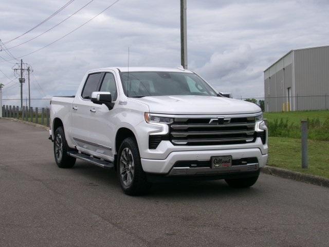 Used 2024 Chevrolet Silverado 1500 High Country with VIN 1GCUDJED1RZ123001 for sale in Ozark, AL