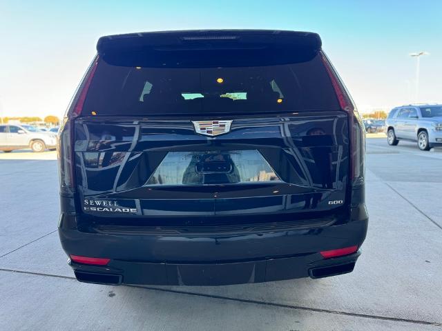 2021 Cadillac Escalade Vehicle Photo in Grapevine, TX 76051