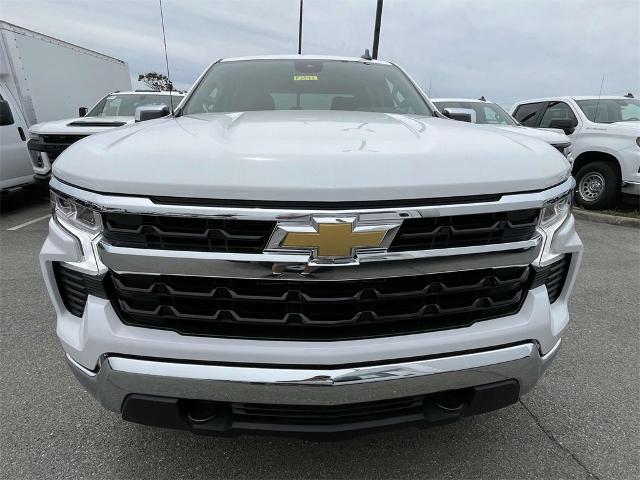 2024 Chevrolet Silverado 1500 Vehicle Photo in ALCOA, TN 37701-3235