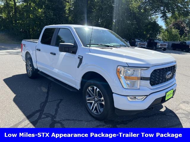 2021 Ford F-150 Vehicle Photo in CHICOPEE, MA 01020-5001