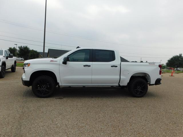 2024 Chevrolet Silverado 1500 Vehicle Photo in Weatherford, TX 76087