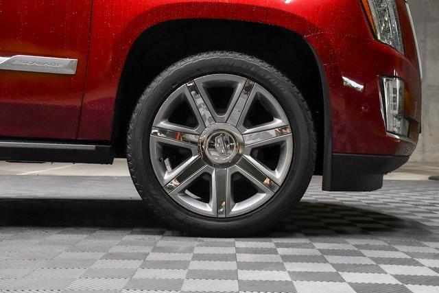 2019 Cadillac Escalade Vehicle Photo in EVERETT, WA 98203-5662