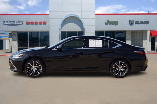 2022 Lexus ES 350 Vehicle Photo in Cleburne, TX 76033