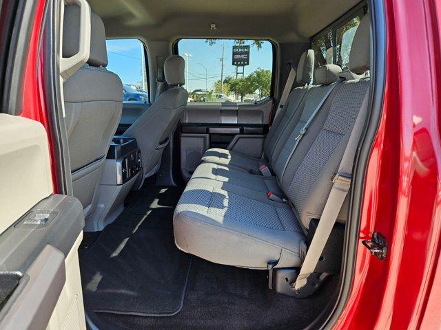 2019 Ford F-150 Vehicle Photo in SELMA, TX 78154-1459