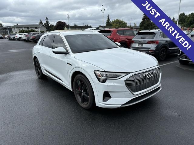 2019 Audi e-tron Vehicle Photo in Puyallup, WA 98371