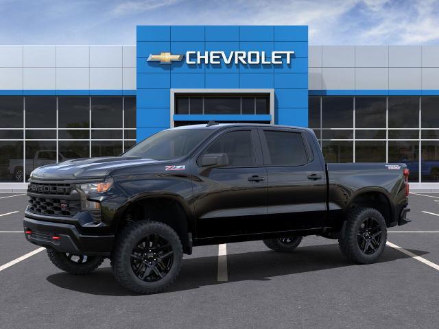 2025 Chevrolet Silverado 1500 Vehicle Photo in SAINT JAMES, NY 11780-3219