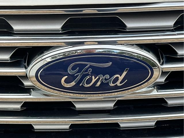 2020 Ford Edge Vehicle Photo in DUNN, NC 28334-8900